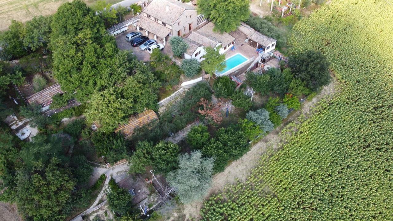 Villa Barbagianni Senigallia Exterior foto