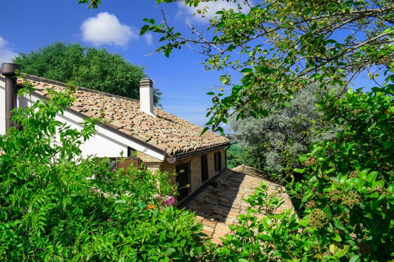 Villa Barbagianni Senigallia Exterior foto
